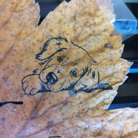 Herfstbladeren graveren