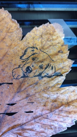 Herfstbladeren graveren
