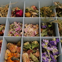 Workshop Bloemslinger maken
