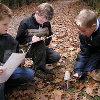 Alles over paddenstoelen