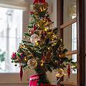 Wenstkerstboom
