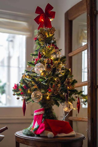 Wenstkerstboom