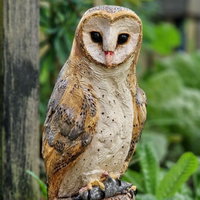 Expositie: Beelden van klei