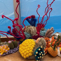 Expositie Corallium