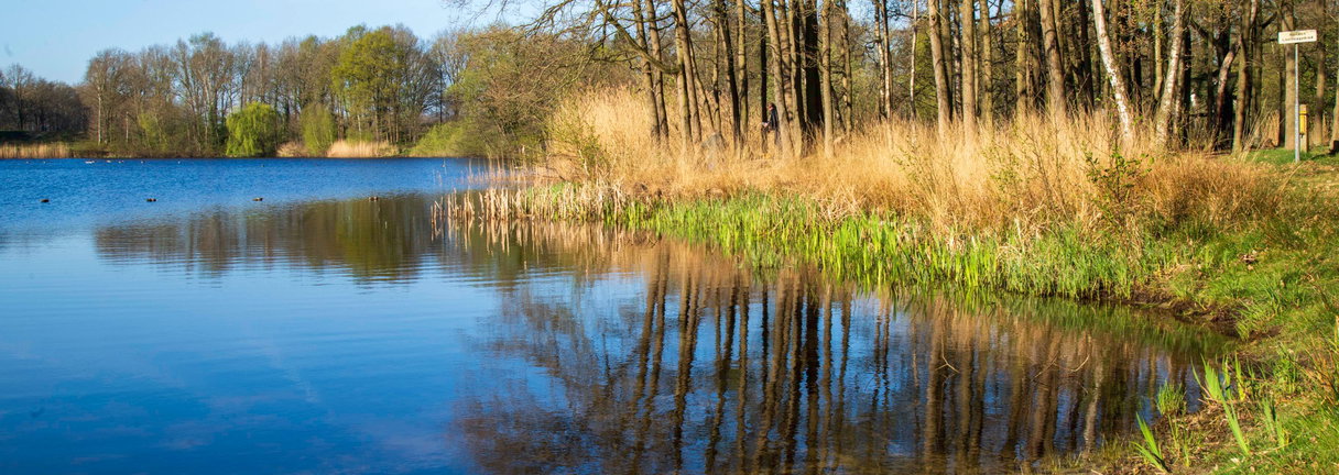 Lezing: Het Nieuwkuijkse Wiel