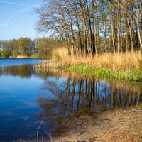Lezing: Het Nieuwkuijkse Wiel