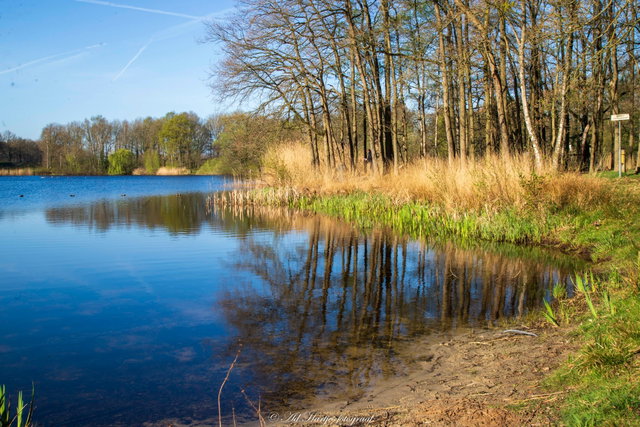 Lezing: Het Nieuwkuijkse Wiel