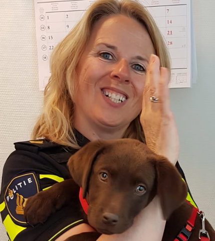 Biebfabriek: De Blauwe Bende en het kattenmysterie