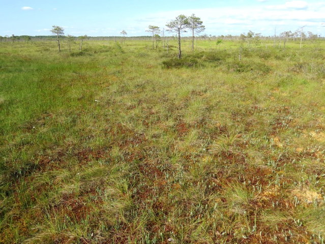 10.000 jaar landschapsgeschiedenis van Akersloot