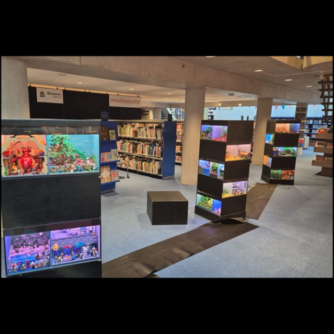 Ontdek de wereld van LEGO in Ligne