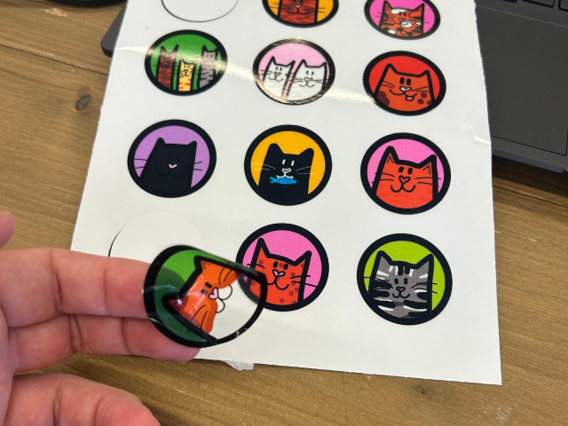 Waanzinnige Stickerdieren (8+)
