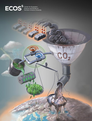 Lecture: Nature as an Ally in Tackling Climate Change by Asst. Prof. Kevin van Sundert