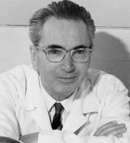 Viktor Frankl; zingeving om te overleven