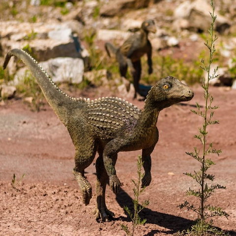 Workshop: Dieren uit de prehistorie