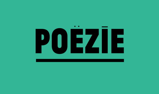 Aan de slag met Poëzie