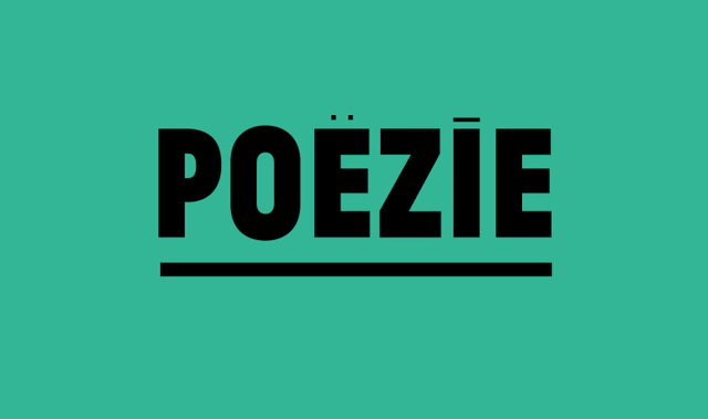 Aan de slag met Poëzie