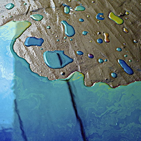 Workshop Mad Science: Bont en blauwe oceanen