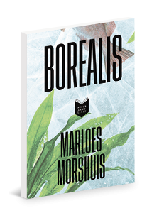 Samen lezen en creatief schrijven: Borealis - Marloes Morshuis