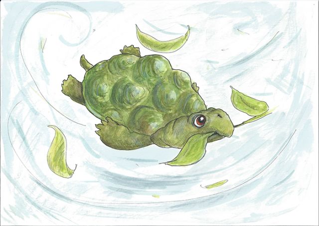 Voorleesspecial Schildpad zoekt een huis (3+)