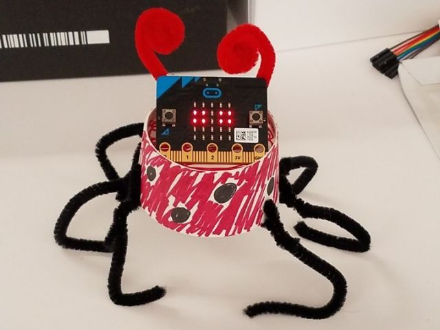 Robotmania: Programmeer een huisdier met de micro:bit (10-12 jaar)