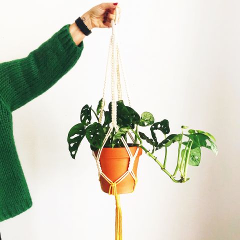 Workshop Macrame plantenhanger