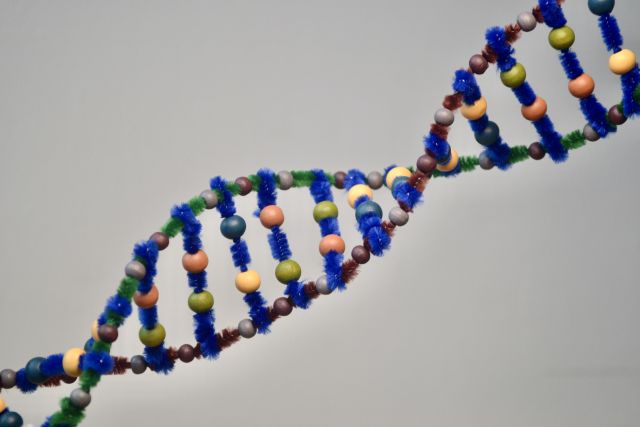 Knutselen met DNA - online