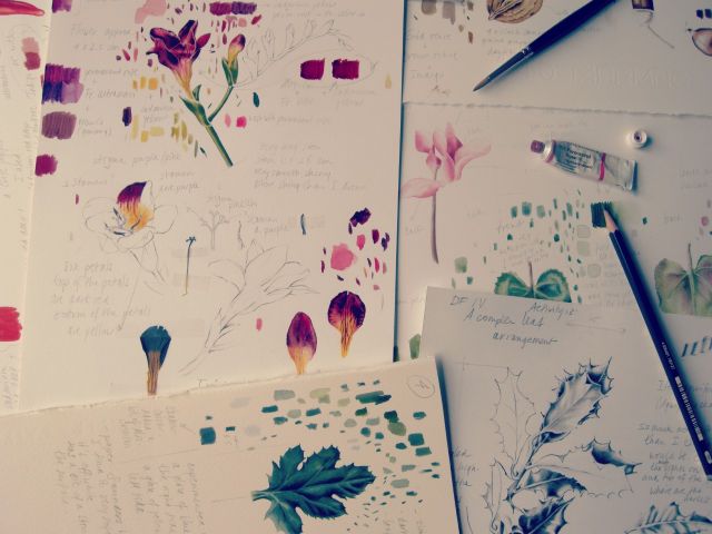 Workshop Botanisch tekenen