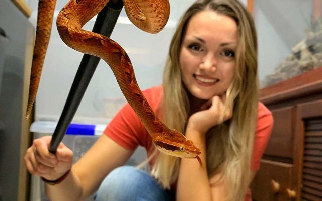 Een Gi-ga-groene middag mét Sterrin & reptiel! (Kinderboekenweek 2022) Volgeboekt