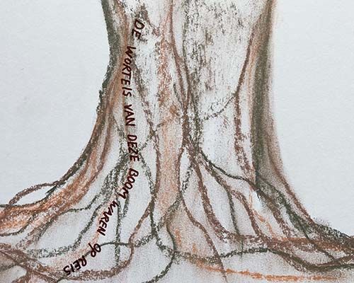 Biotoop Kunstroute - De wortels van deze boom