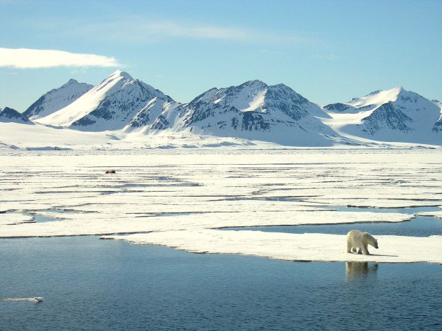 Jan Belgers - Wetenschap en de Noordpool: De Arctis, het unieke noordpoolgebied