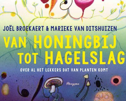 Knappe koppen: Van Honingbij tot Hagelslag - workshop proeven, ruiken en tekenen