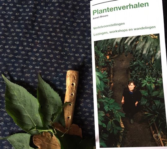 Zin in Zondag: Keltische plantenverhalen + workshop (ouder/kind 6+)