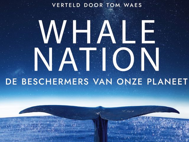 Film: Whale Nation