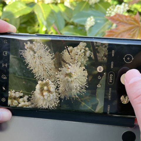 Fotograferen met de smartphone