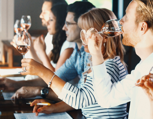 Basiscursus Vinologie