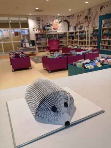 Zomerprogramma: Knutselen met letters en boeken 16-08-2023 14:00