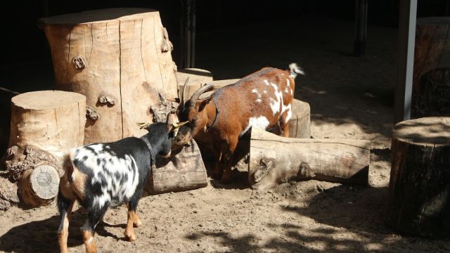Boerderijpret en Lunch Oostgaarde