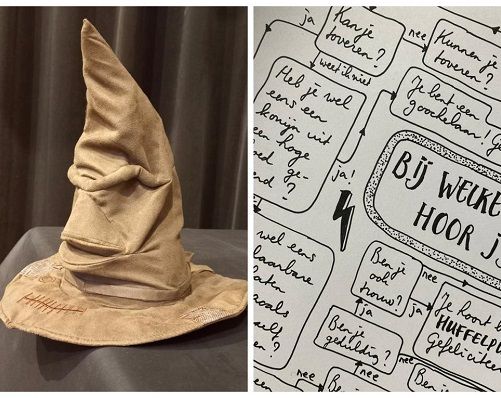 Harry Potter Doe-club: Sorteren voor gevorderden! (9+)