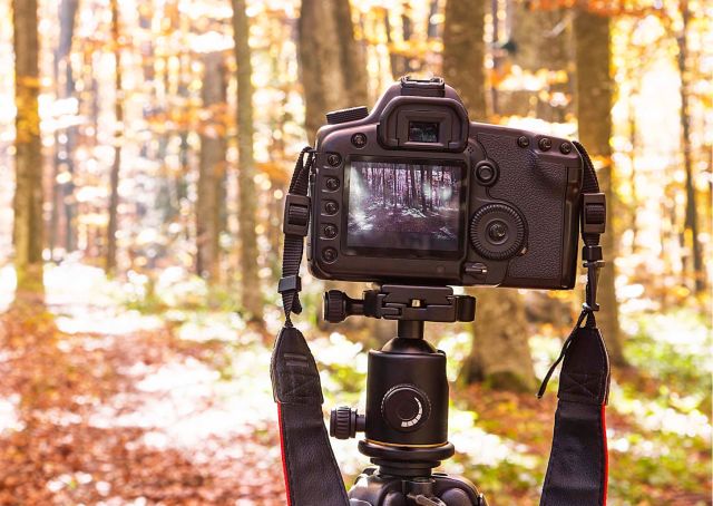 Workshop | Fotografie door Theo Mathijssen