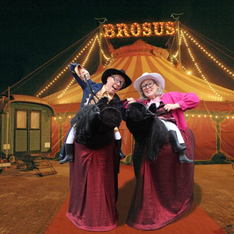 Familievoorstelling circus BroSus