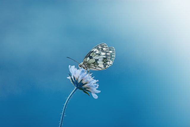 Lezing 'Liefdevol de toekomst tegemoet'