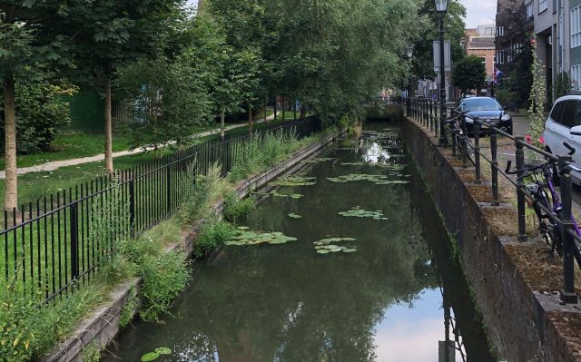 Taalwandeling langs de grachten in Weert