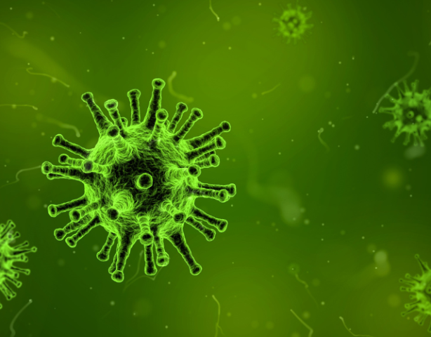 Seniorencolleges | Keerpunten in de biologie en geneeskunde 13-10-2023 10:00