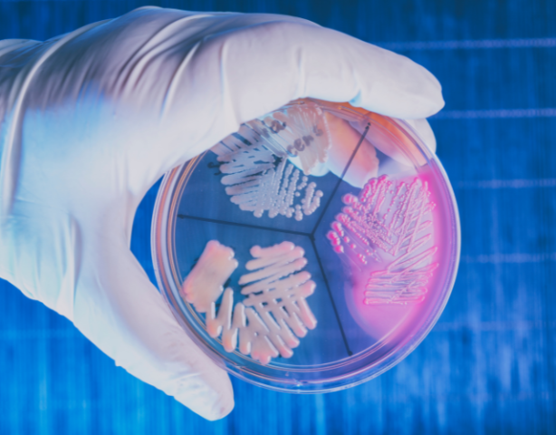 Seniorencolleges | Keerpunten in de biologie en geneeskunde 20-10-2023 10:00