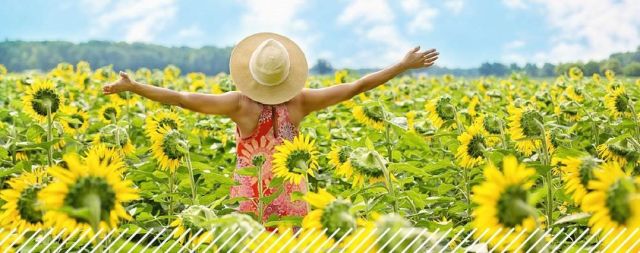 Gratis cursus: Voluit Leven