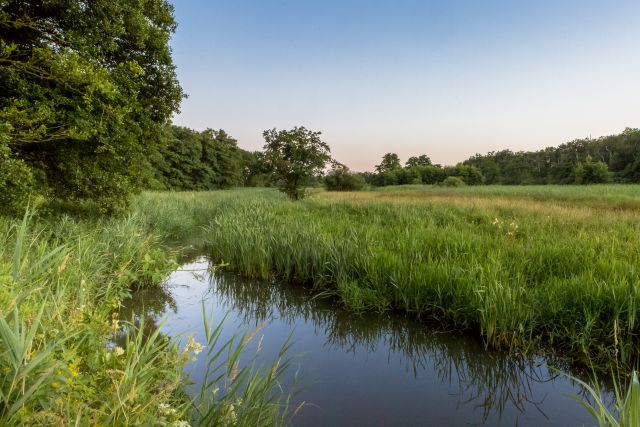 ROEG - Fotoverhalen uit het Drentse veld