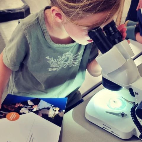 TechnoLab: Werken met microscoop en vergrootglas