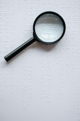 Wereld Braille Dag