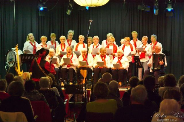 Zondagmiddagpodium: Seniorenkoor de Weidevogels