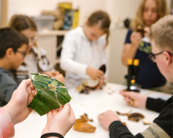 Archeologiemiddag in OPEN